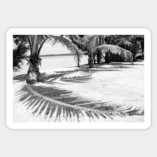 Palm and shadow on beach Sticker